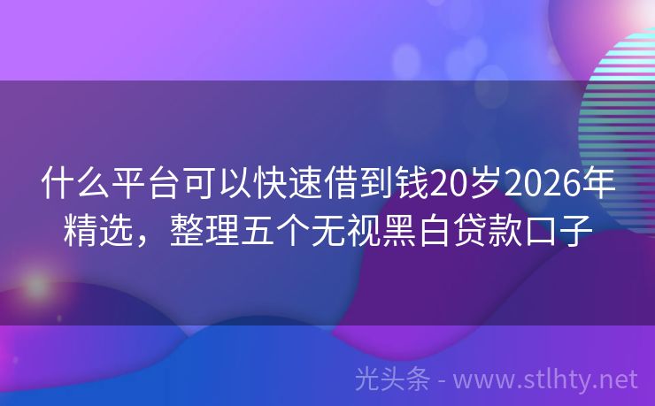 什么平台可以快速借到钱20岁2026年精选，整理五个无视黑白贷款口子