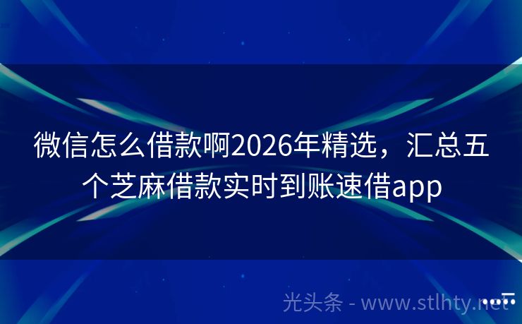 微信怎么借款啊2026年精选，汇总五个芝麻借款实时到账速借app