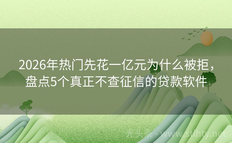 2026年热门先花一亿元为什么被拒，盘点5个真正不查征信的贷款软件