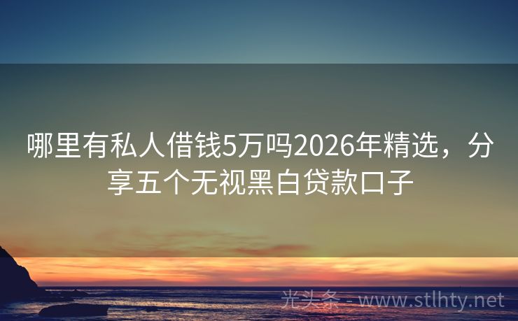 哪里有私人借钱5万吗2026年精选，分享五个无视黑白贷款口子