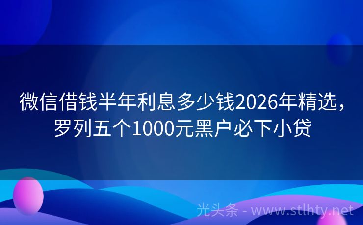 微信借钱半年利息多少钱2026年精选，罗列五个1000元黑户必下小贷