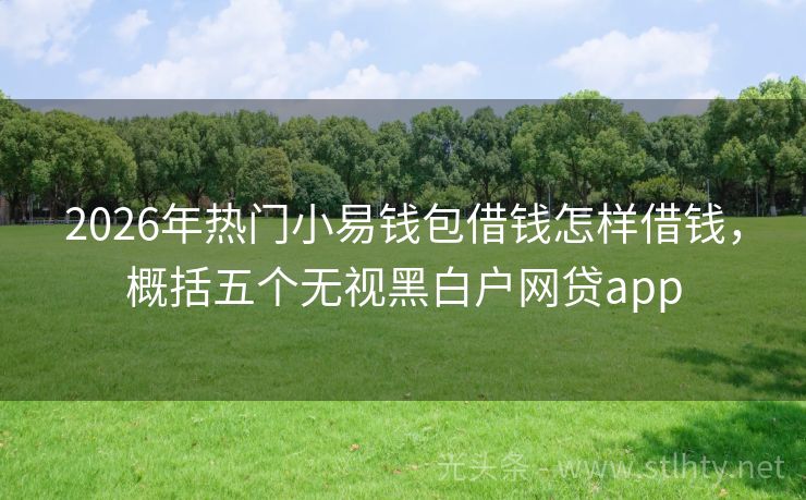 2026年热门小易钱包借钱怎样借钱，概括五个无视黑白户网贷app