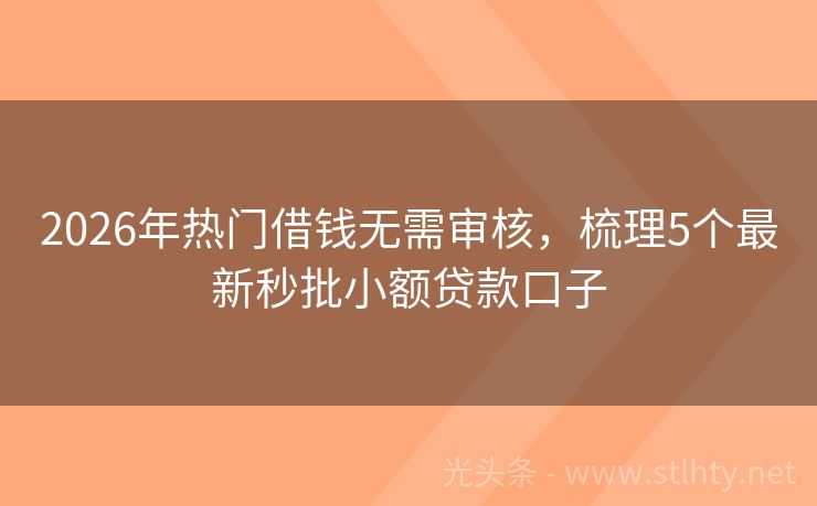 2026年热门借钱无需审核，梳理5个最新秒批小额贷款口子
