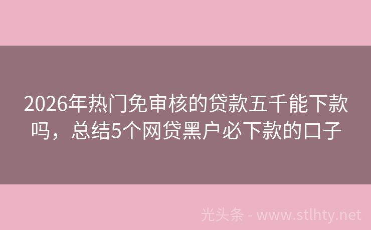 2026年热门免审核的贷款五千能下款吗，总结5个网贷黑户必下款的口子