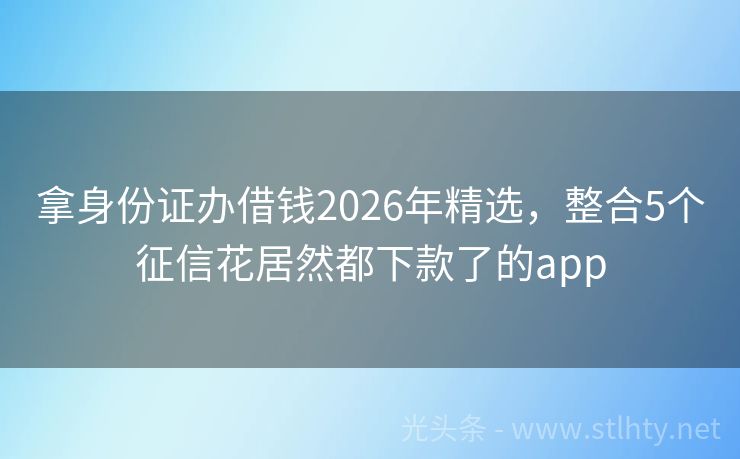 拿身份证办借钱2026年精选，整合5个征信花居然都下款了的app