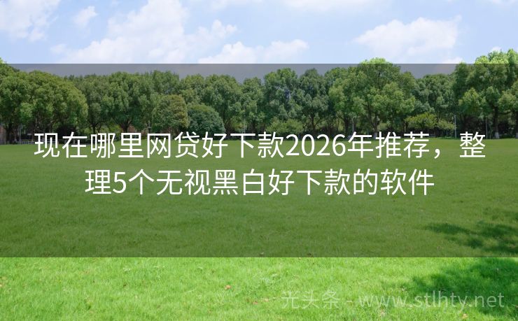 现在哪里网贷好下款2026年推荐，整理5个无视黑白好下款的软件