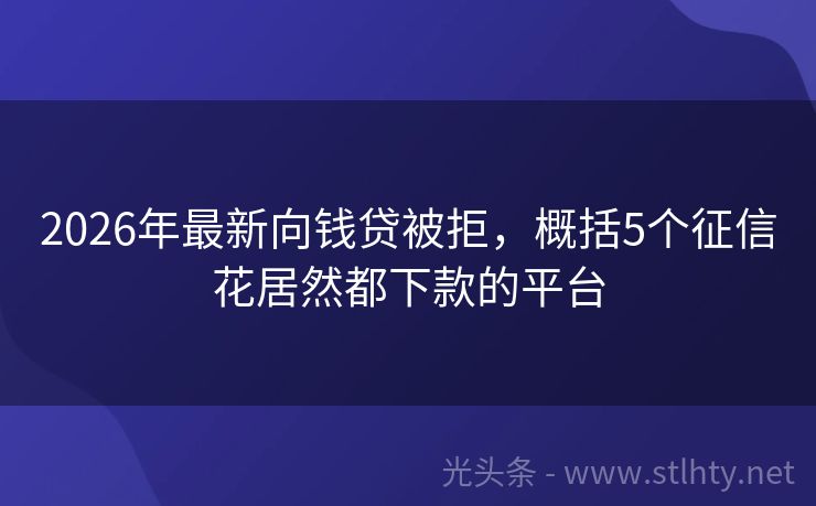 2026年最新向钱贷被拒，概括5个征信花居然都下款的平台