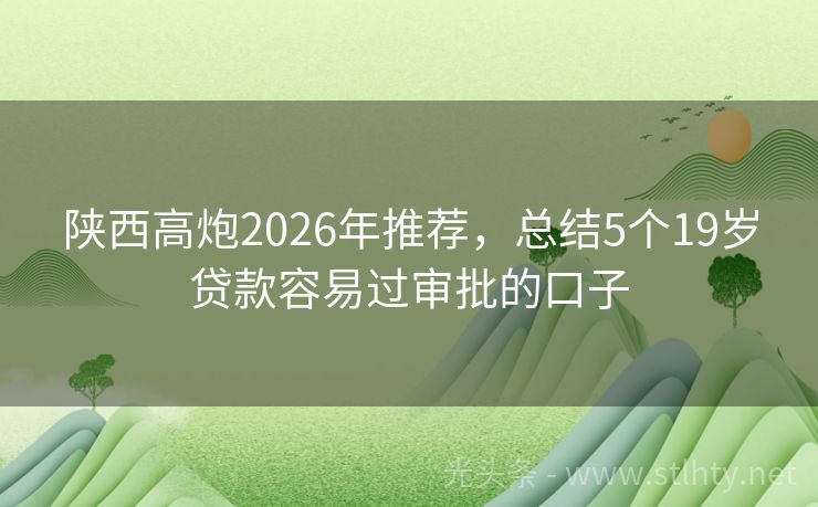 陕西高炮2026年推荐，总结5个19岁贷款容易过审批的口子