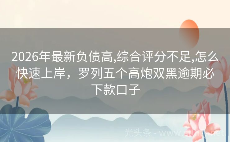 2026年最新负债高,综合评分不足,怎么快速上岸，罗列五个高炮双黑逾期必下款口子