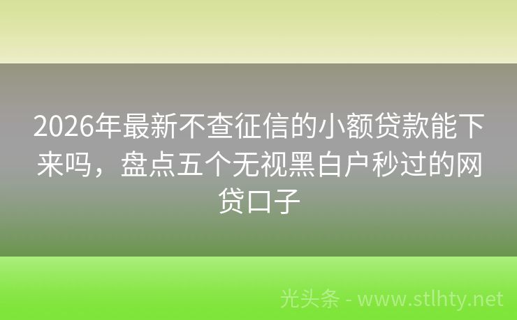 2026年最新不查征信的小额贷款能下来吗，盘点五个无视黑白户秒过的网贷口子