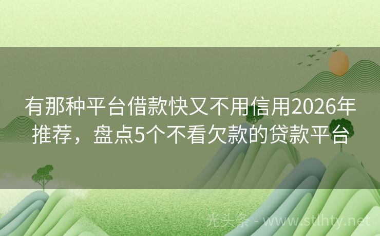 有那种平台借款快又不用信用2026年推荐，盘点5个不看欠款的贷款平台