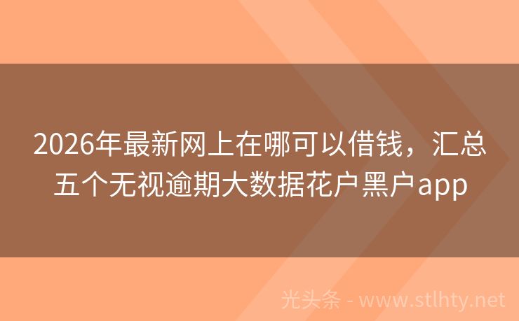 2026年最新网上在哪可以借钱，汇总五个无视逾期大数据花户黑户app
