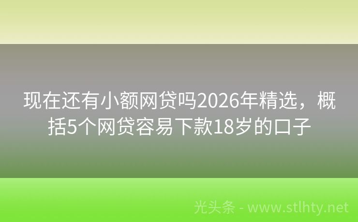 现在还有小额网贷吗2026年精选，概括5个网贷容易下款18岁的口子