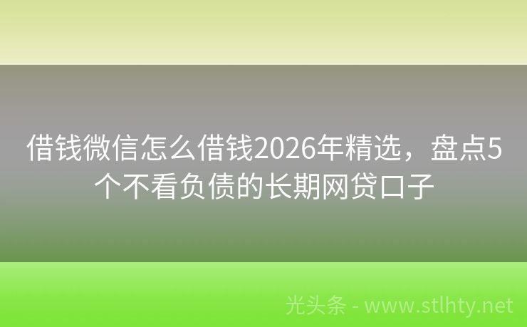 借钱微信怎么借钱2026年精选，盘点5个不看负债的长期网贷口子