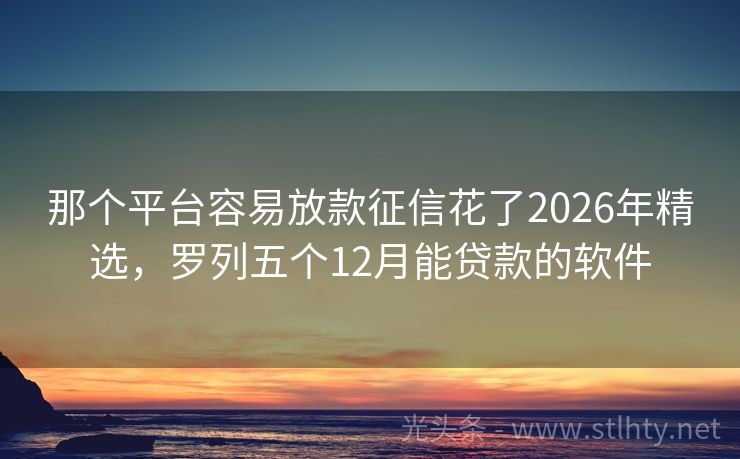 那个平台容易放款征信花了2026年精选，罗列五个12月能贷款的软件