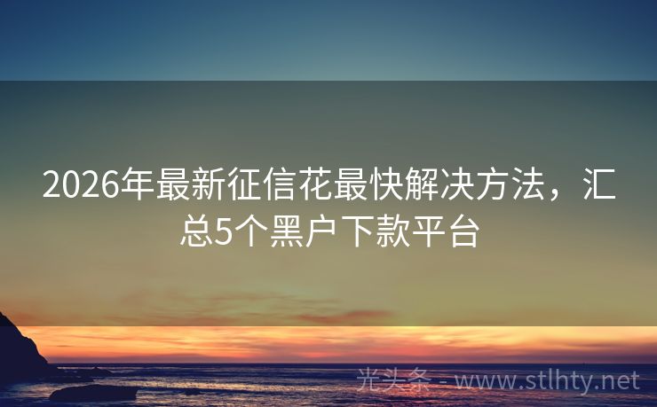 2026年最新征信花最快解决方法，汇总5个黑户下款平台