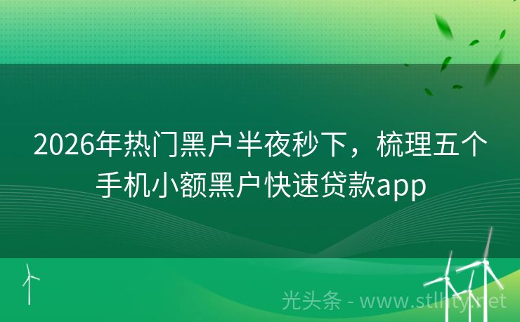 2026年热门黑户半夜秒下，梳理五个手机小额黑户快速贷款app