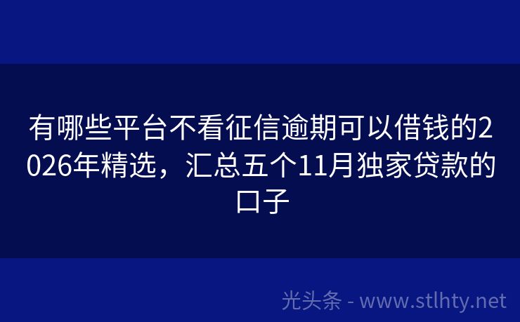 有哪些平台不看征信逾期可以借钱的2026年精选，汇总五个11月独家贷款的口子