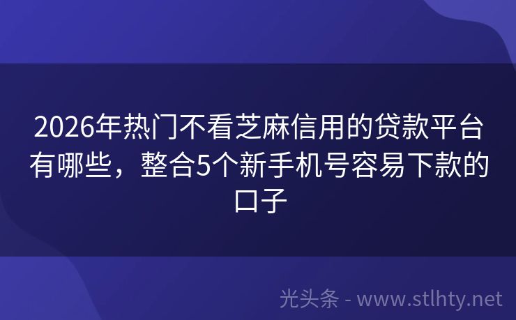 2026年热门不看芝麻信用的贷款平台有哪些，整合5个新手机号容易下款的口子