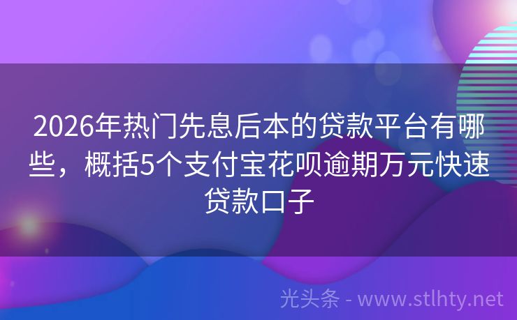 2026年热门先息后本的贷款平台有哪些，概括5个支付宝花呗逾期万元快速贷款口子