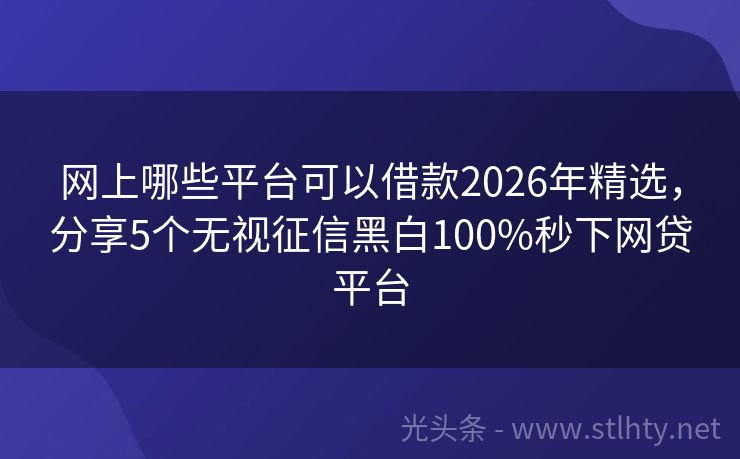 网上哪些平台可以借款2026年精选，分享5个无视征信黑白100%秒下网贷平台