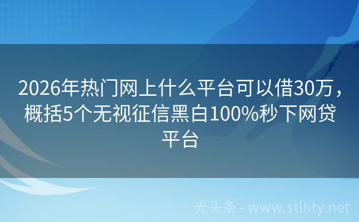 2026年热门网上什么平台可以借30万，概括5个无视征信黑白100%秒下网贷平台