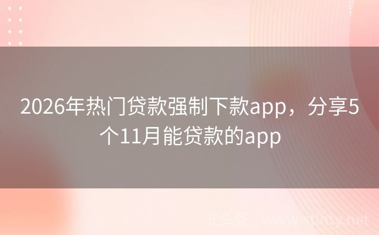 2026年热门贷款强制下款app，分享5个11月能贷款的app