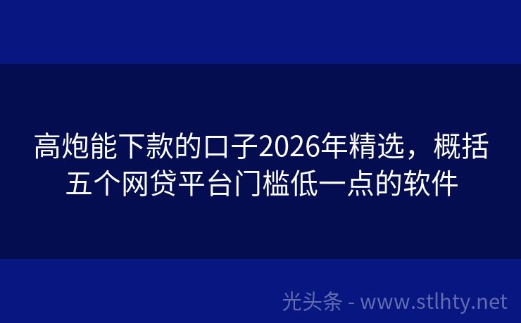 高炮能下款的口子2026年精选，概括五个网贷平台门槛低一点的软件