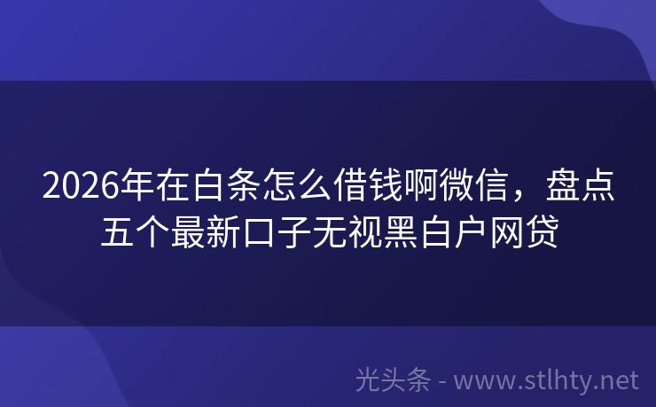 2026年在白条怎么借钱啊微信，盘点五个最新口子无视黑白户网贷