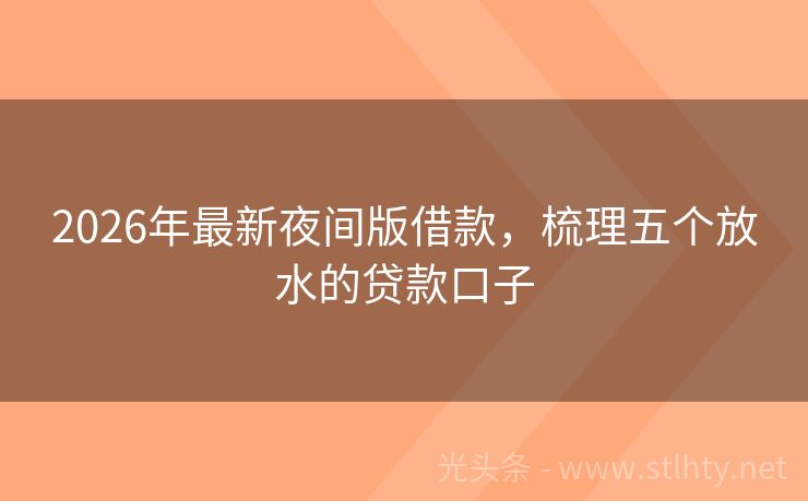 2026年最新夜间版借款，梳理五个放水的贷款口子
