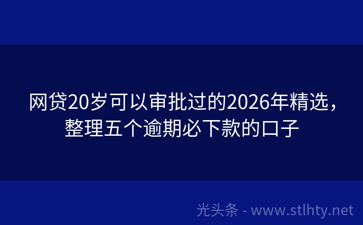 网贷20岁可以审批过的2026年精选，整理五个逾期必下款的口子