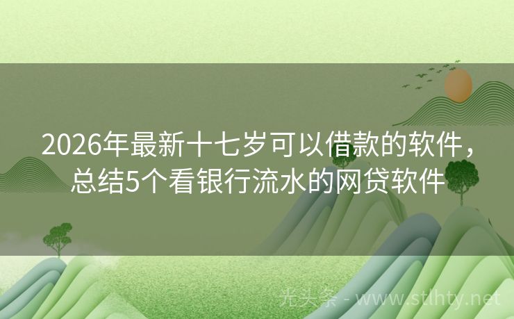 2026年最新十七岁可以借款的软件，总结5个看银行流水的网贷软件