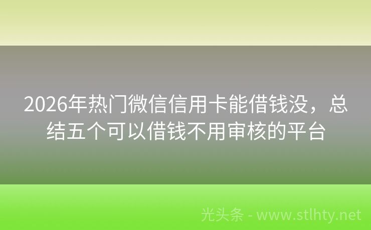 2026年热门微信信用卡能借钱没，总结五个可以借钱不用审核的平台