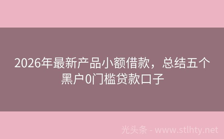 2026年最新产品小额借款，总结五个黑户0门槛贷款口子