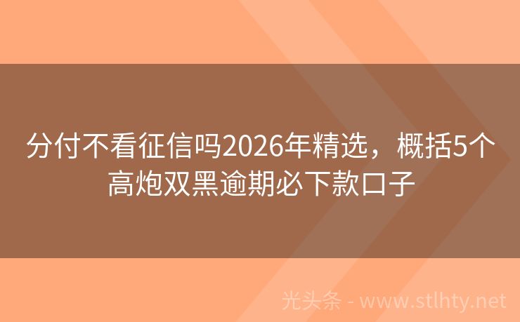 分付不看征信吗2026年精选，概括5个高炮双黑逾期必下款口子