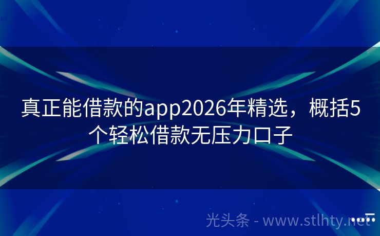真正能借款的app2026年精选，概括5个轻松借款无压力口子