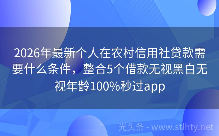 2026年最新个人在农村信用社贷款需要什么条件，整合5个借款无视黑白无视年龄100%秒过app