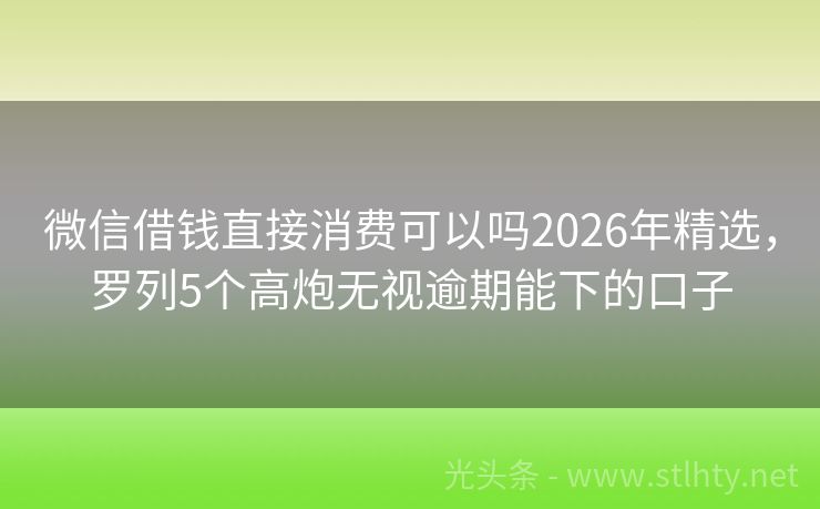 微信借钱直接消费可以吗2026年精选，罗列5个高炮无视逾期能下的口子