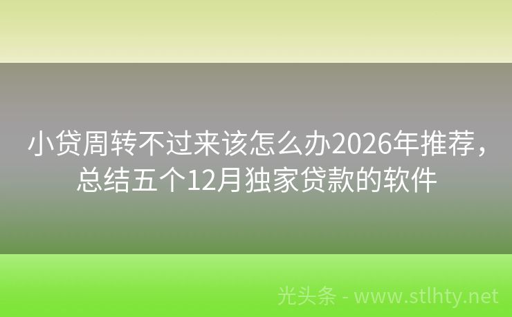 小贷周转不过来该怎么办2026年推荐，总结五个12月独家贷款的软件