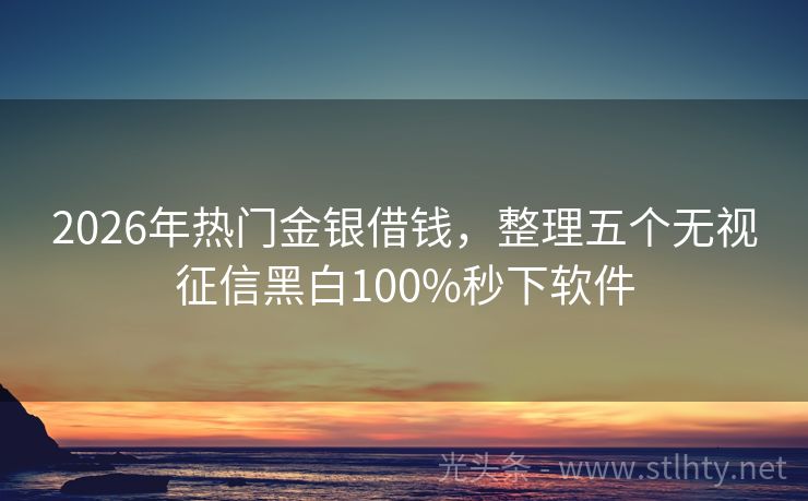2026年热门金银借钱，整理五个无视征信黑白100%秒下软件