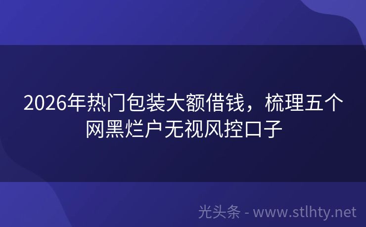2026年热门包装大额借钱，梳理五个网黑烂户无视风控口子