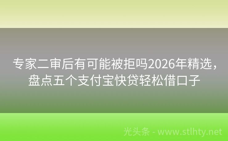 专家二审后有可能被拒吗2026年精选，盘点五个支付宝快贷轻松借口子