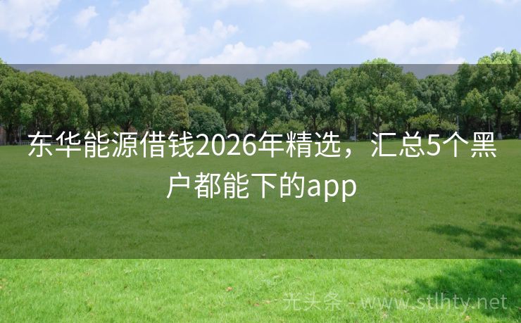 东华能源借钱2026年精选，汇总5个黑户都能下的app