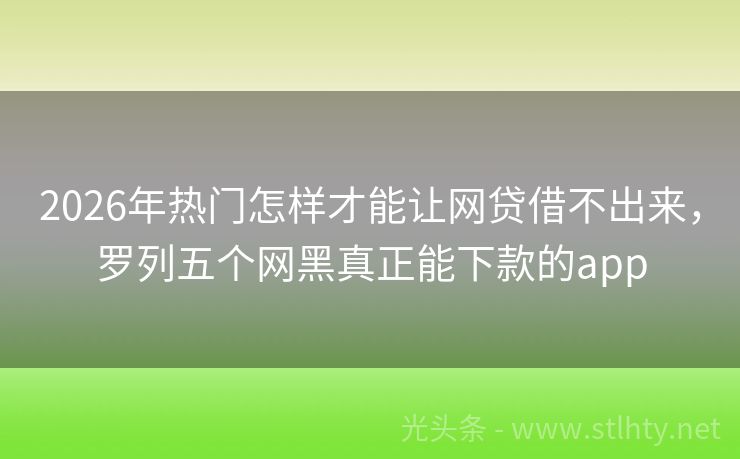2026年热门怎样才能让网贷借不出来，罗列五个网黑真正能下款的app