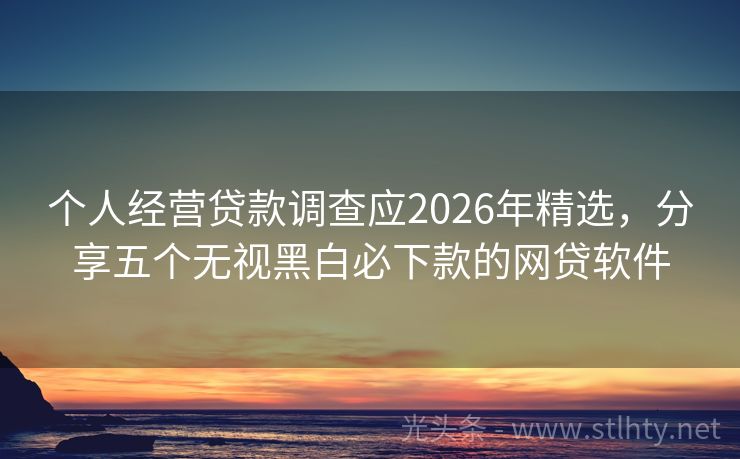 个人经营贷款调查应2026年精选，分享五个无视黑白必下款的网贷软件