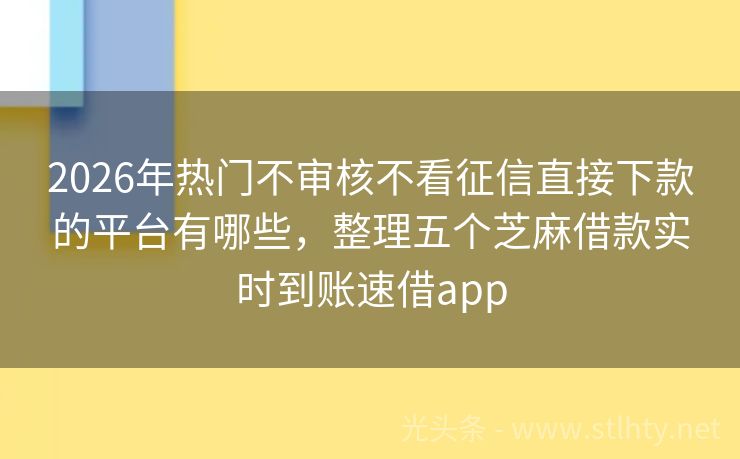 2026年热门不审核不看征信直接下款的平台有哪些，整理五个芝麻借款实时到账速借app