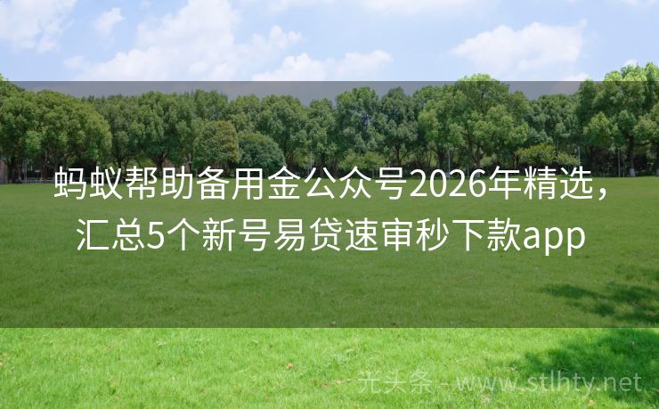 蚂蚁帮助备用金公众号2026年精选，汇总5个新号易贷速审秒下款app