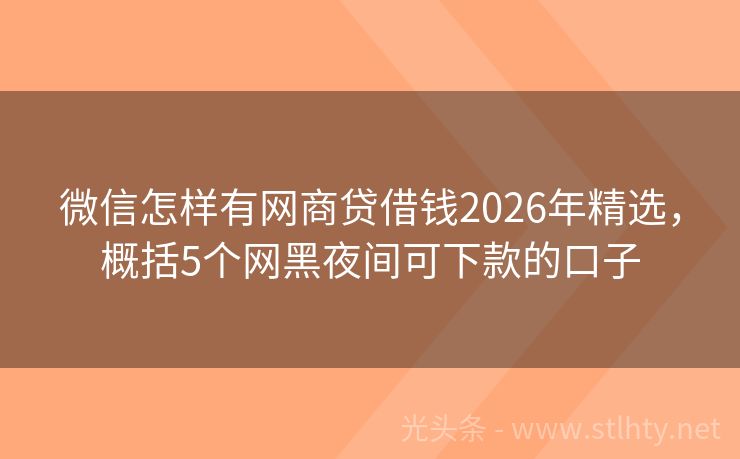 微信怎样有网商贷借钱2026年精选，概括5个网黑夜间可下款的口子