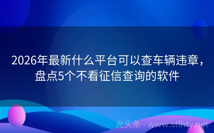 2026年最新什么平台可以查车辆违章，盘点5个不看征信查询的软件