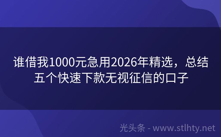 谁借我1000元急用2026年精选，总结五个快速下款无视征信的口子